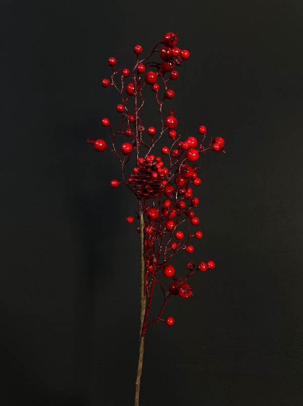 Гілка декоративна Шипшина з шишкою,QM23-RPK-7
